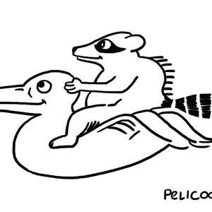 Meet your Posher, Carol